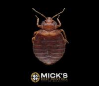 Mick's Pest Control Ipswich image 4